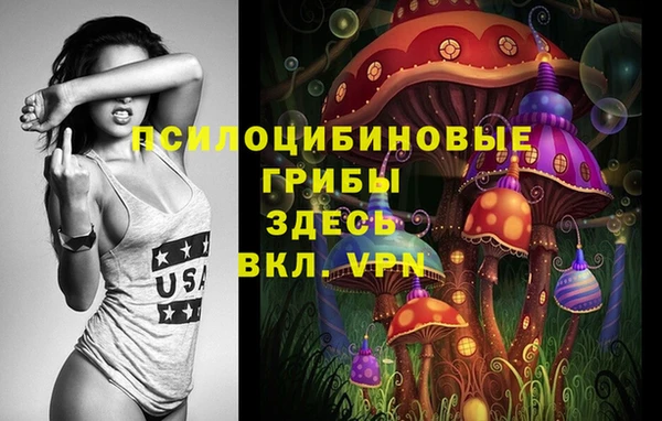 дживик Медвежьегорск
