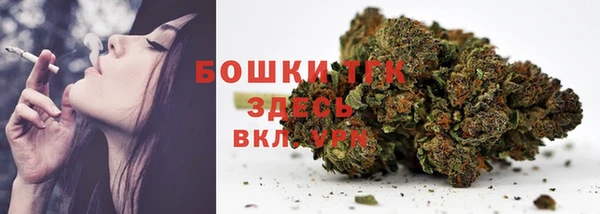 дмт Медногорск