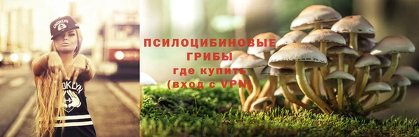 2c-b Медногорск