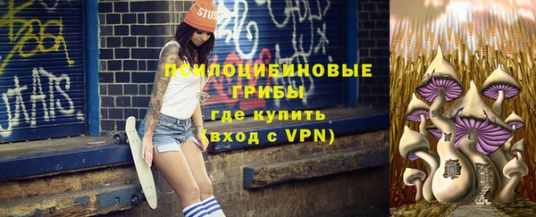 дурь Тайга