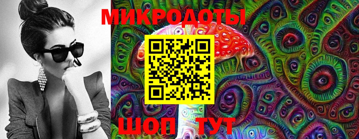 где найти   Темрюк  Галлюциногенные грибы Cubensis 
