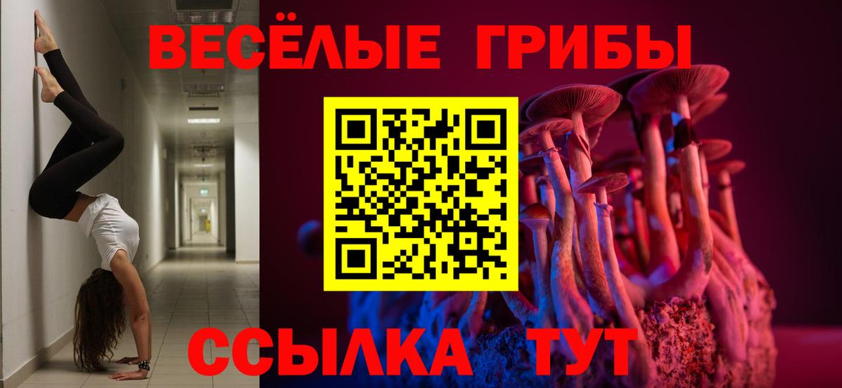 Псилоцибиновые грибы MAGIC MUSHROOMS Темрюк